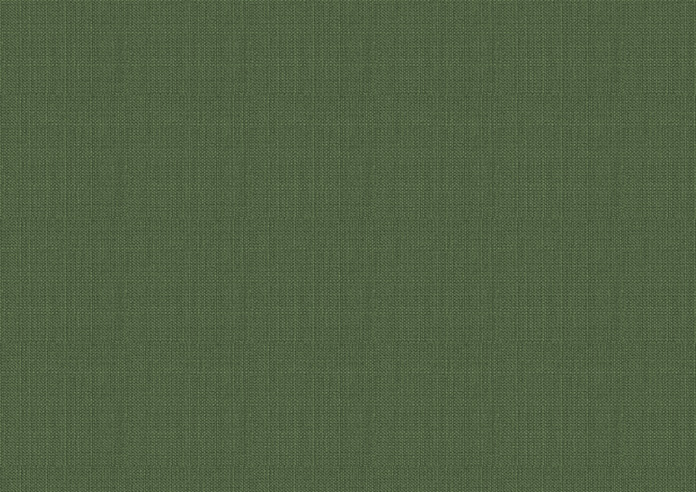 Lyra, Juniper - Twist&Fit Roman Blind - Image 7